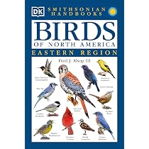 Birds of North America: Western Region : Alsop, Fred: Amazon.sg: Books